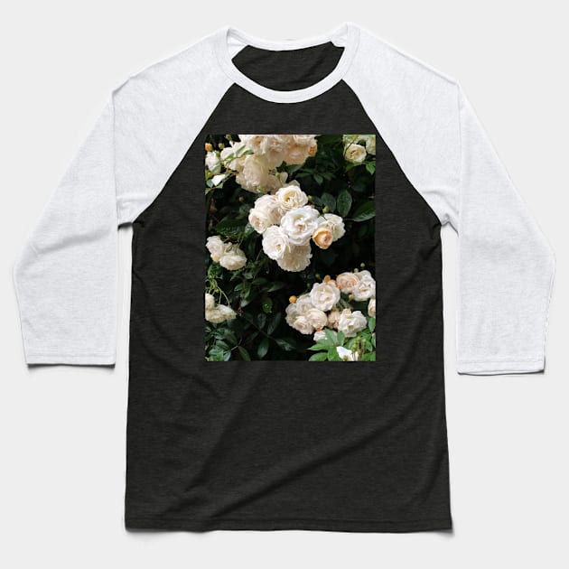 Elegant White Roses Baseball T-Shirt by NewburyBoutique